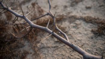 Por que os católicos fazem renúncias na Quaresma?